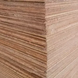 Eucalyptus Plywood