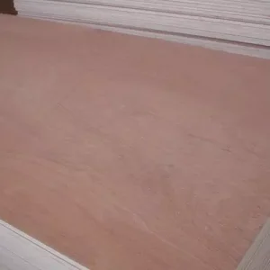 Beech Plywood